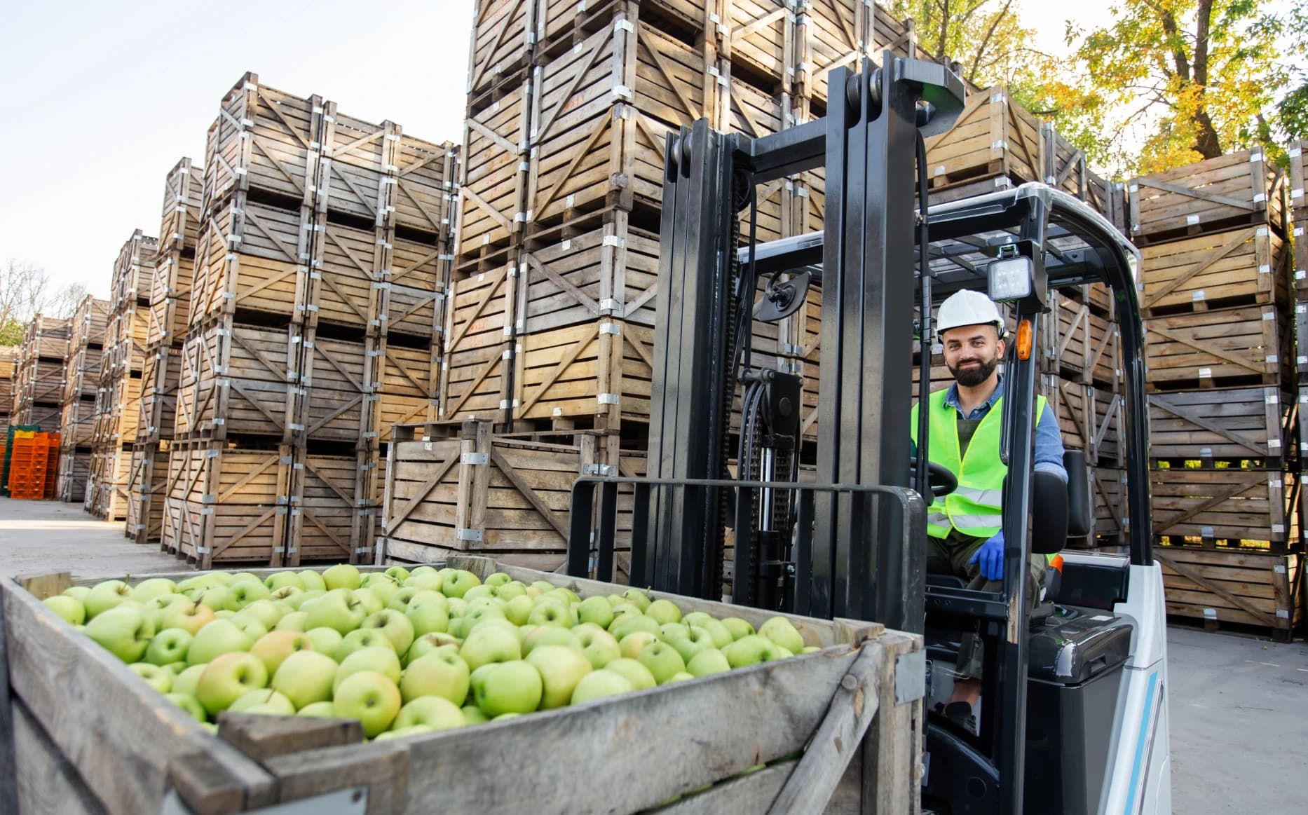15 Best ERP Software for Food Industry in Singapore 2026
